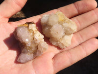 Natural Small Mixed Spirit Quartz Clusters  x 35 From Boekenhouthoek, South Africa - Toprock Gemstones and Minerals 