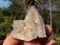 Natural Small Mixed Spirit Quartz Clusters  x 35 From Boekenhouthoek, South Africa - Toprock Gemstones and Minerals 