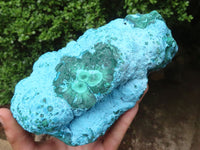 Natural Beautiful Large Malacholla (Malachite & Chrysocolla) Specimen  x 1 From Kulukuluku, Congo - Toprock Gemstones and Minerals 