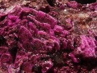 Natural Pink Salrose Cobaltion Dolomite Specimens  x 6 From Kakanda, Congo