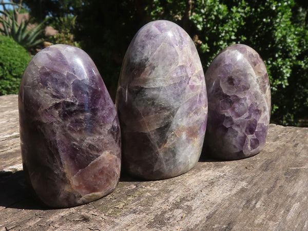 Polished Dream Flower Amethyst Standing Free Forms  x 3 From Madagascar - TopRock