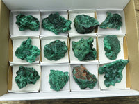 Natural Chatoyant Silky Malachite Specimens  x 12 From Kasompe, Congo - Toprock Gemstones and Minerals 