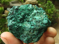 Natural Chatoyant Silky Malachite Specimens  x 12 From Kasompe, Congo - Toprock Gemstones and Minerals 