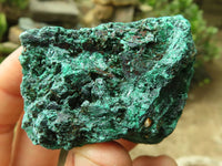 Natural Chatoyant Silky Malachite Specimens  x 12 From Kasompe, Congo - Toprock Gemstones and Minerals 