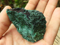 Natural Chatoyant Silky Malachite Specimens  x 12 From Kasompe, Congo - Toprock Gemstones and Minerals 