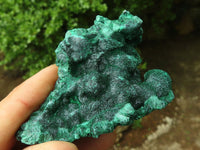 Natural Chatoyant Silky Malachite Specimens  x 12 From Kasompe, Congo - Toprock Gemstones and Minerals 