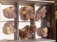 Natural Spirit Amethyst Quartz Clusters  x 6 From Boekenhouthoek, South Africa - Toprock Gemstones and Minerals 