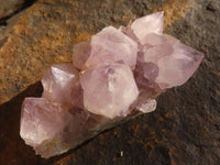 Natural Spirit Amethyst Quartz Clusters  x 6 From Boekenhouthoek, South Africa - Toprock Gemstones and Minerals 