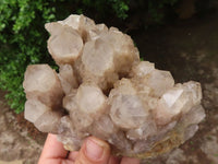 Natural White Phantom Smokey Quartz Clusters  x 2 From Luena, Congo - Toprock Gemstones and Minerals 