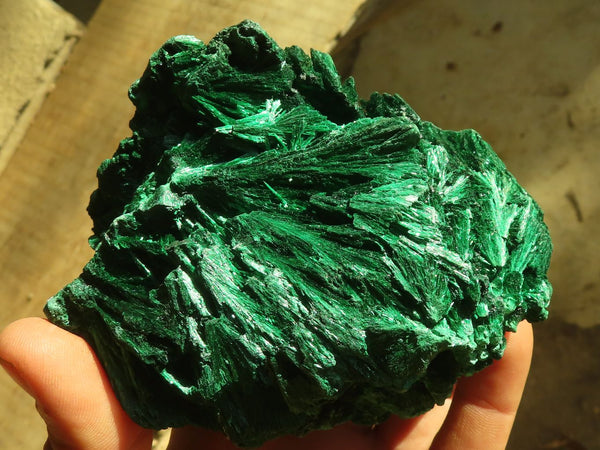 Natural Chatoyant Silky Malachite Specimens  x 2 From Kasompe, Congo