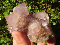 Natural Spirit Amethyst Quartz Clusters  x 6 From Boekenhouthoek, South Africa - Toprock Gemstones and Minerals 