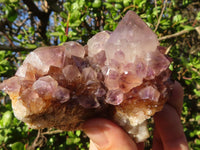 Natural Spirit Amethyst Quartz Clusters  x 6 From Boekenhouthoek, South Africa - Toprock Gemstones and Minerals 