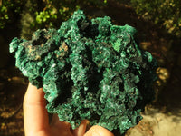 Natural Chatoyant Silky Malachite Specimens  x 2 From Kasompe, Congo