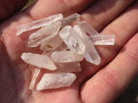 Natural Small Single Quartz Crystals  x 2.1 Kg Lot From Madagascar - Toprock Gemstones and Minerals 