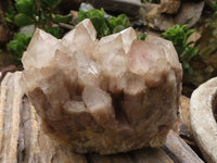 Natural White Phantom Smokey Quartz Clusters  x 2 From Luena, Congo - Toprock Gemstones and Minerals 