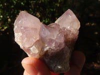 Natural Spirit Amethyst Quartz Clusters  x 6 From Boekenhouthoek, South Africa - Toprock Gemstones and Minerals 