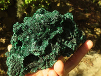 Natural Chatoyant Silky Malachite Specimens  x 2 From Kasompe, Congo