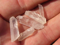 Natural Small Single Quartz Crystals  x 2.1 Kg Lot From Madagascar - Toprock Gemstones and Minerals 