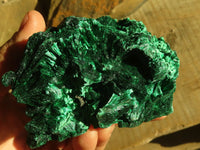 Natural Chatoyant Silky Malachite Specimens  x 2 From Kasompe, Congo