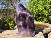 Polished  Dream Chevron Amethyst Points x 2 From Madagascar