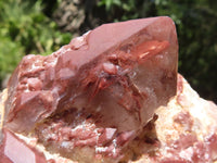 Natural Red Hematoid Quartz Clusters  x 2 From Karoi, Zimbabwe - TopRock