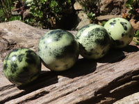 Polished Leopard Stone Spheres  x 4 From Zimbabwe - TopRock