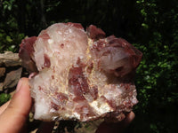 Natural Red Hematoid Quartz Clusters  x 2 From Karoi, Zimbabwe - TopRock