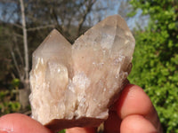 Natural Cascading Smokey Quartz Clusters x 6 From Luena, Congo