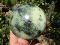 Polished Leopard Stone Spheres  x 4 From Zimbabwe - TopRock