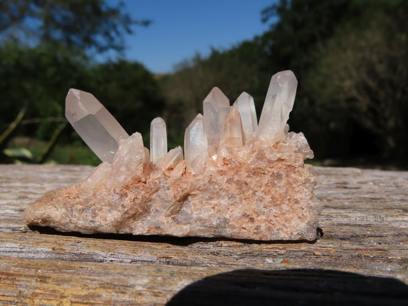 Himalayan Pink Quartz Crystal Cluster Small