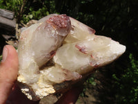 Natural Red Hematoid Quartz Clusters  x 2 From Karoi, Zimbabwe - TopRock