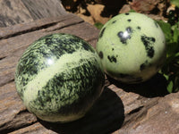 Polished Leopard Stone Spheres  x 4 From Zimbabwe - TopRock