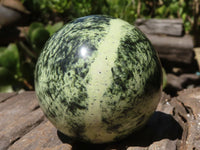 Polished Leopard Stone Spheres  x 4 From Zimbabwe - TopRock