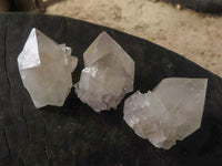 Natural White to Pale Lilac Single Cactus Flower Spirit Quartz Crystals  x 47 From Boekenhouthoek, South Africa - TopRock