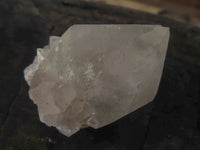 Natural White to Pale Lilac Single Cactus Flower Spirit Quartz Crystals  x 47 From Boekenhouthoek, South Africa - TopRock