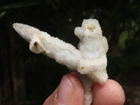 Natural Drusy Quartz Coated Calcite Pseudomorph Specimens  x 35 From Alberts Mountain, Lesotho - TopRock