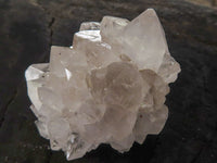 Natural White to Pale Lilac Single Cactus Flower Spirit Quartz Crystals  x 47 From Boekenhouthoek, South Africa - TopRock