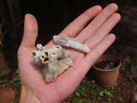 Natural Drusy Quartz Coated Calcite Pseudomorph Specimens  x 35 From Alberts Mountain, Lesotho - TopRock