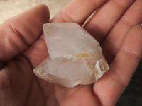 Natural White to Pale Lilac Single Cactus Flower Spirit Quartz Crystals  x 47 From Boekenhouthoek, South Africa - TopRock