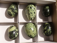 Polished Leopard Stone Gallets  x 6 From Zimbabwe