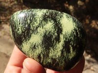 Polished Leopard Stone Gallets  x 6 From Zimbabwe