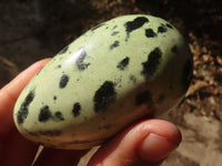 Polished Leopard Stone Gallets  x 6 From Zimbabwe