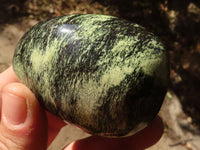 Polished Leopard Stone Gallets  x 6 From Zimbabwe