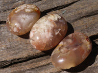 Polished Coral Flower Agate Palm Stones  x 12 From Maintirano, Madagascar - TopRock