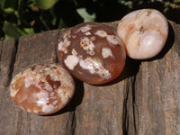 Polished Coral Flower Agate Palm Stones  x 12 From Maintirano, Madagascar - TopRock