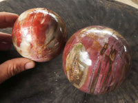 Polished Petrified Red Podocarpus Wood Spheres  x 2 From Mahajanga, Madagascar - TopRock