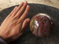 Polished Petrified Red Podocarpus Wood Spheres  x 2 From Mahajanga, Madagascar - TopRock