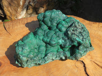 Natural Extra Large Botryoidal Malachite Specimen x 1 From Kolwezi, Congo - TopRock