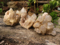 Natural Cascading White Phantom Smokey Quartz Clusters  x 3 From Luena, Congo - Toprock Gemstones and Minerals 