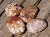 Polished Coral Flower Agate Palm Stones  x 12 From Maintirano, Madagascar - TopRock